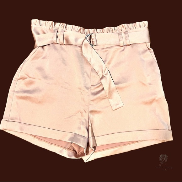 Bar II Belted Dusty Pink Satin Paper Bag Waist Shorts Size 14 - Picture 5 of 8